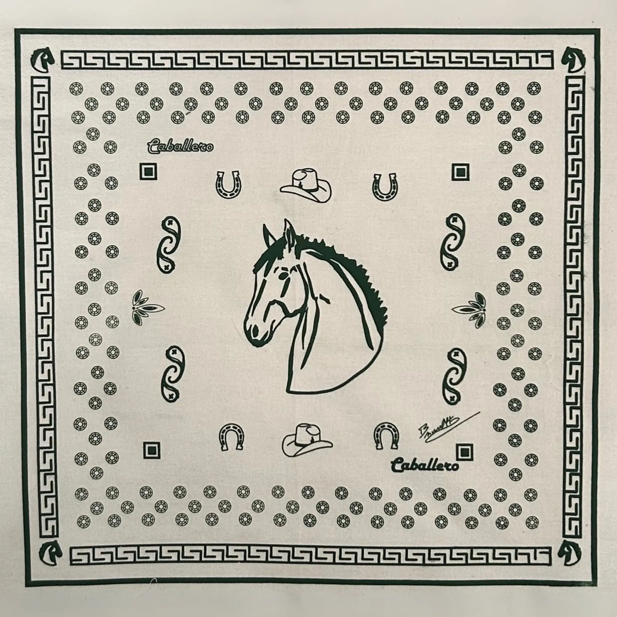 Paliacate Caballo