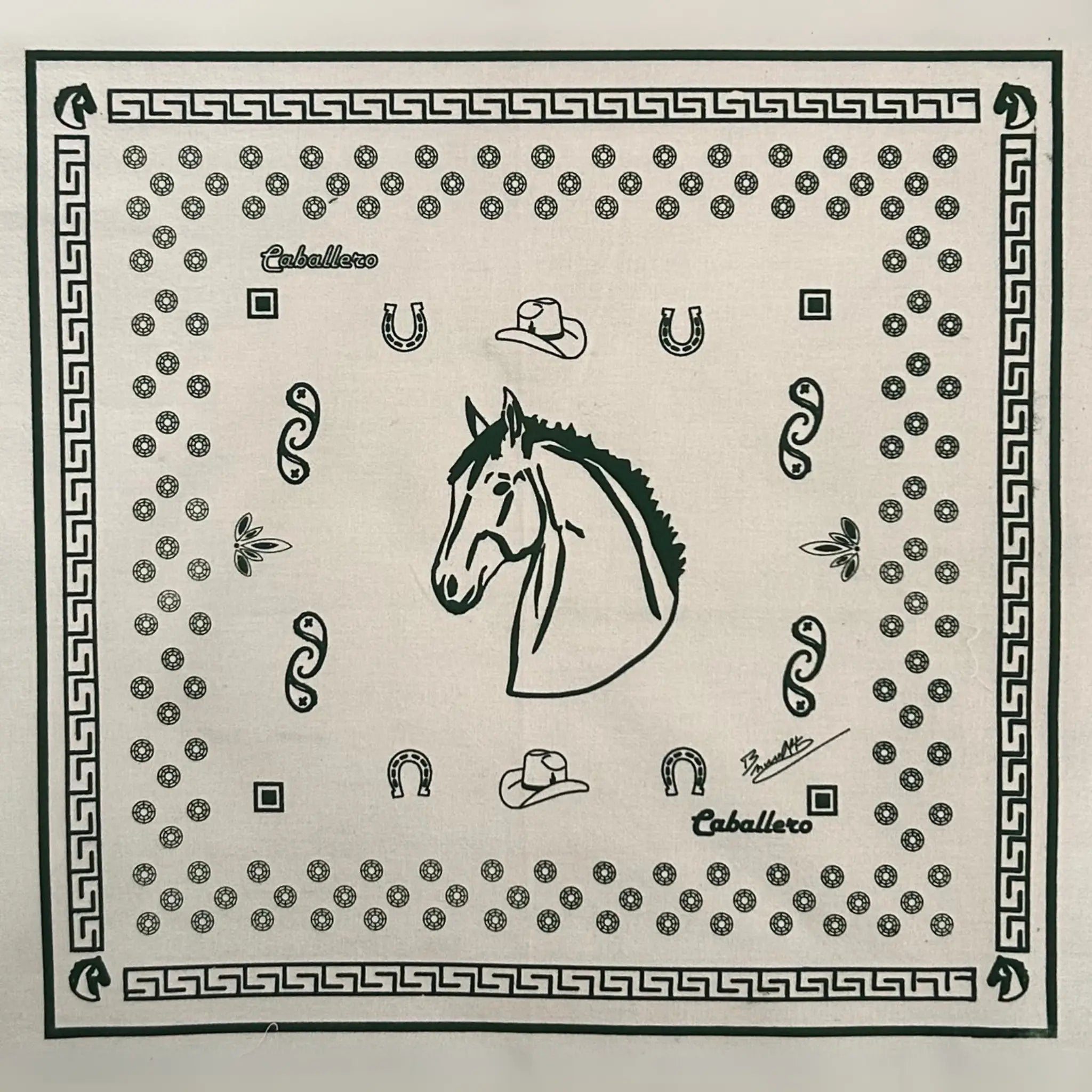 Paliacate Caballo