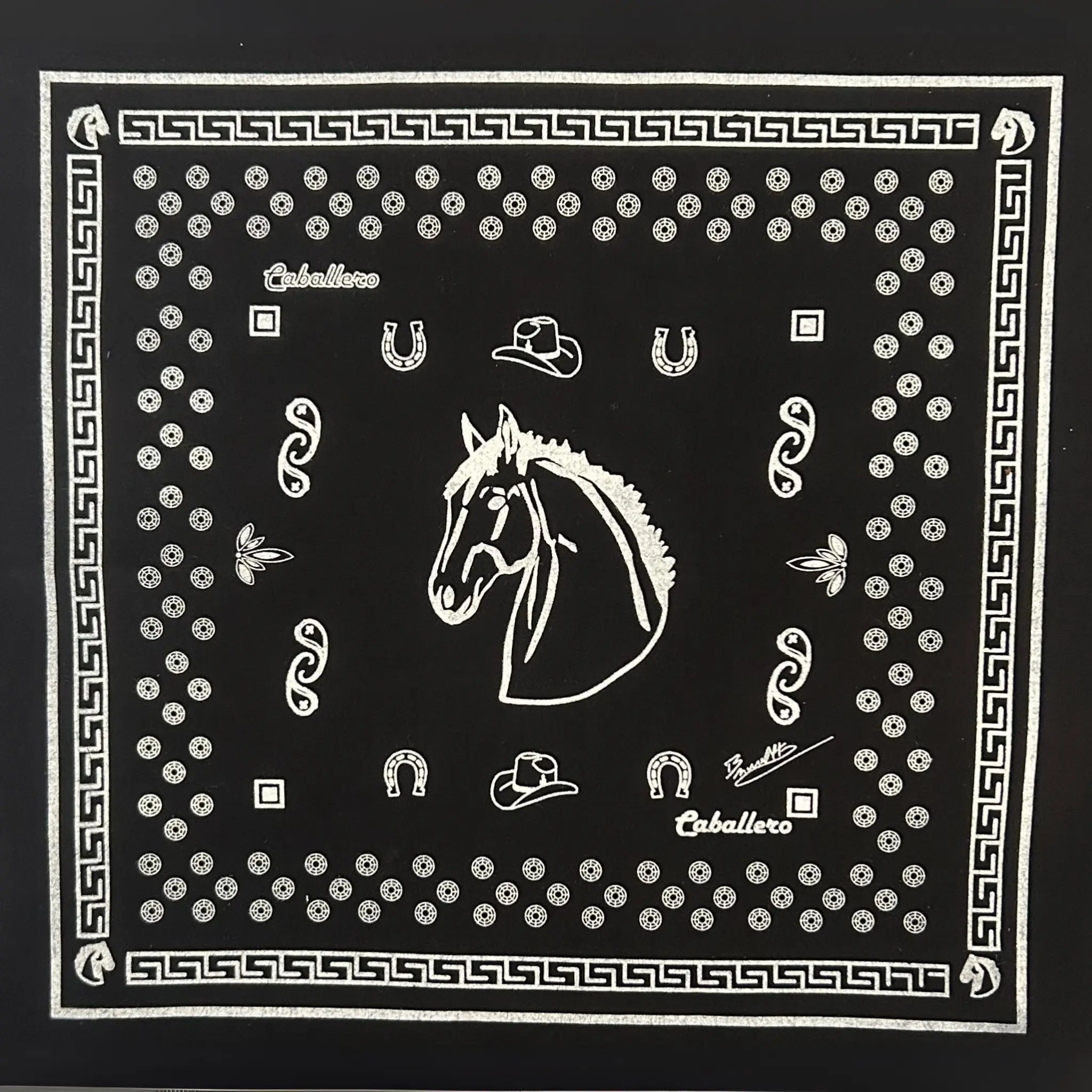 Paliacate Caballo