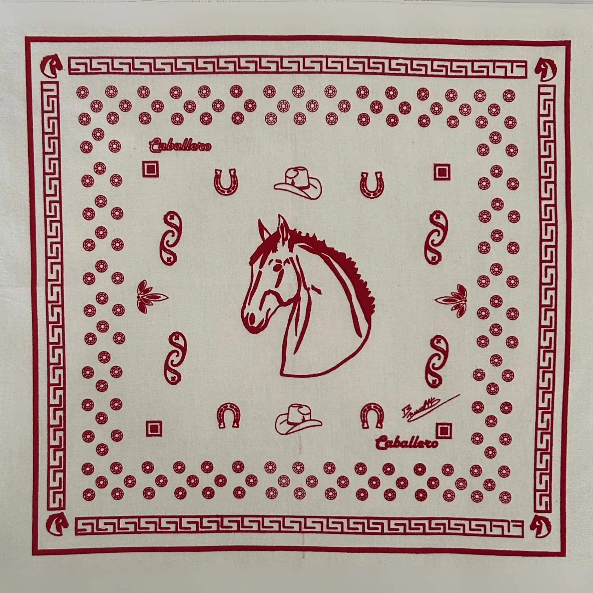 Paliacate Caballo