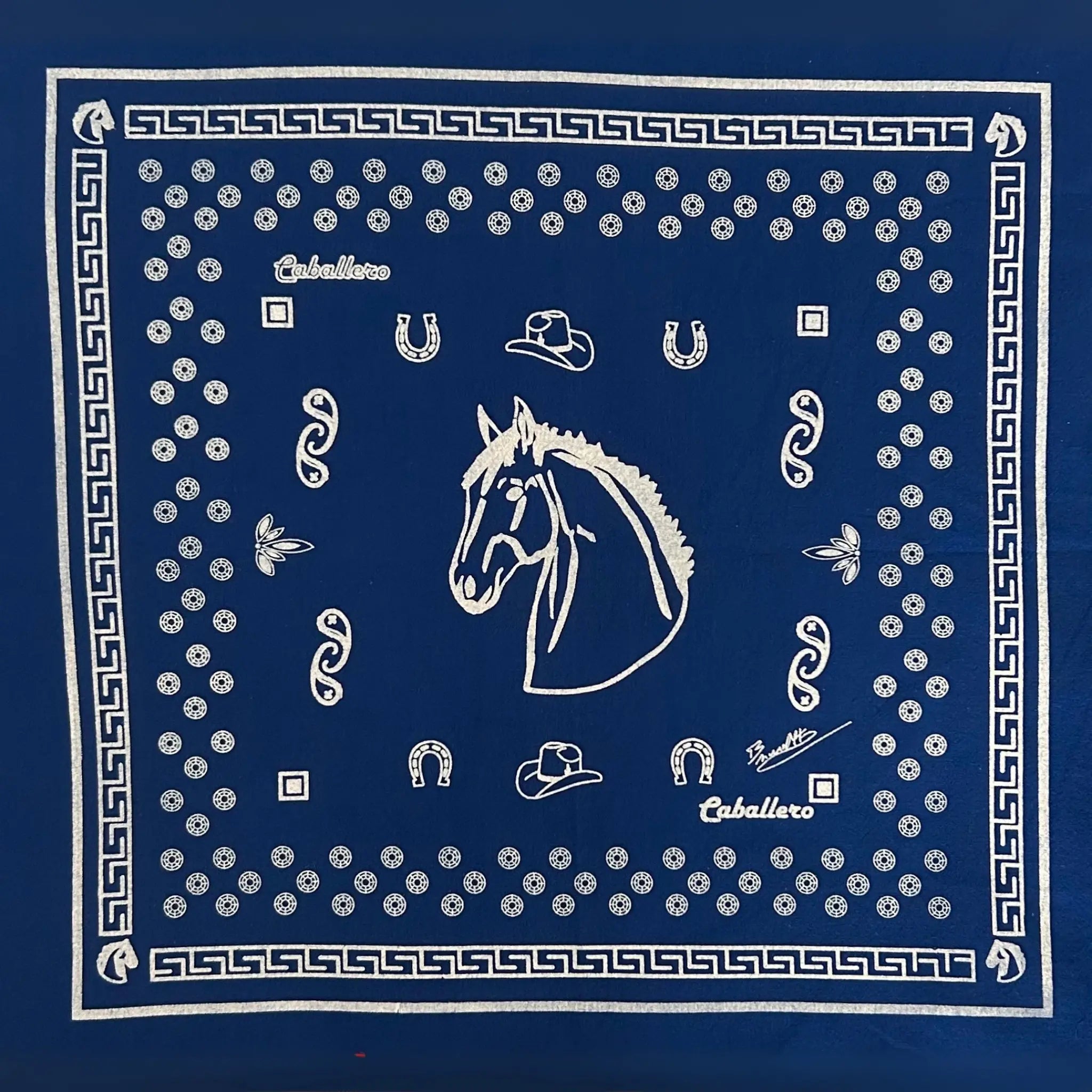 Paliacate Caballo