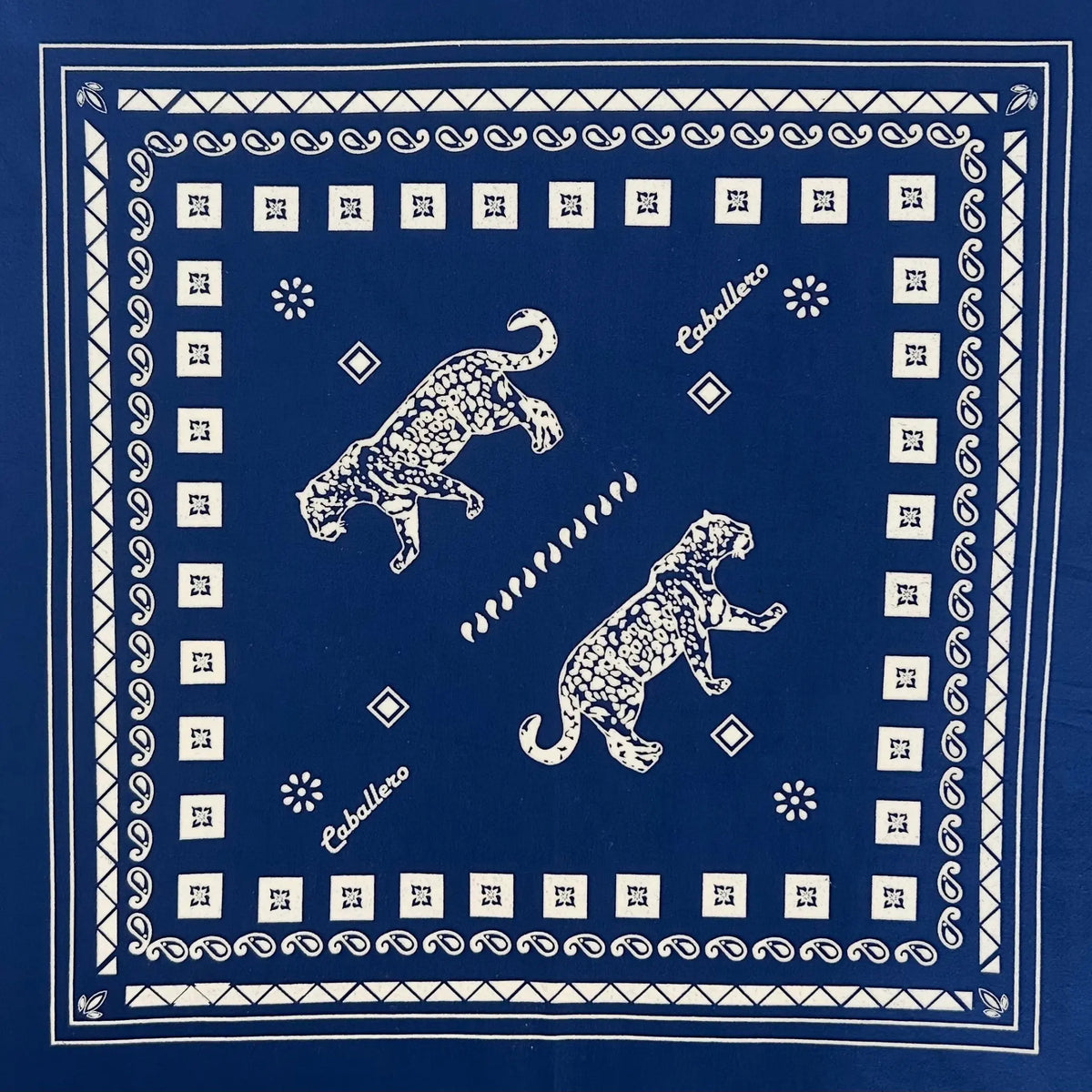 Paliacate Jaguar