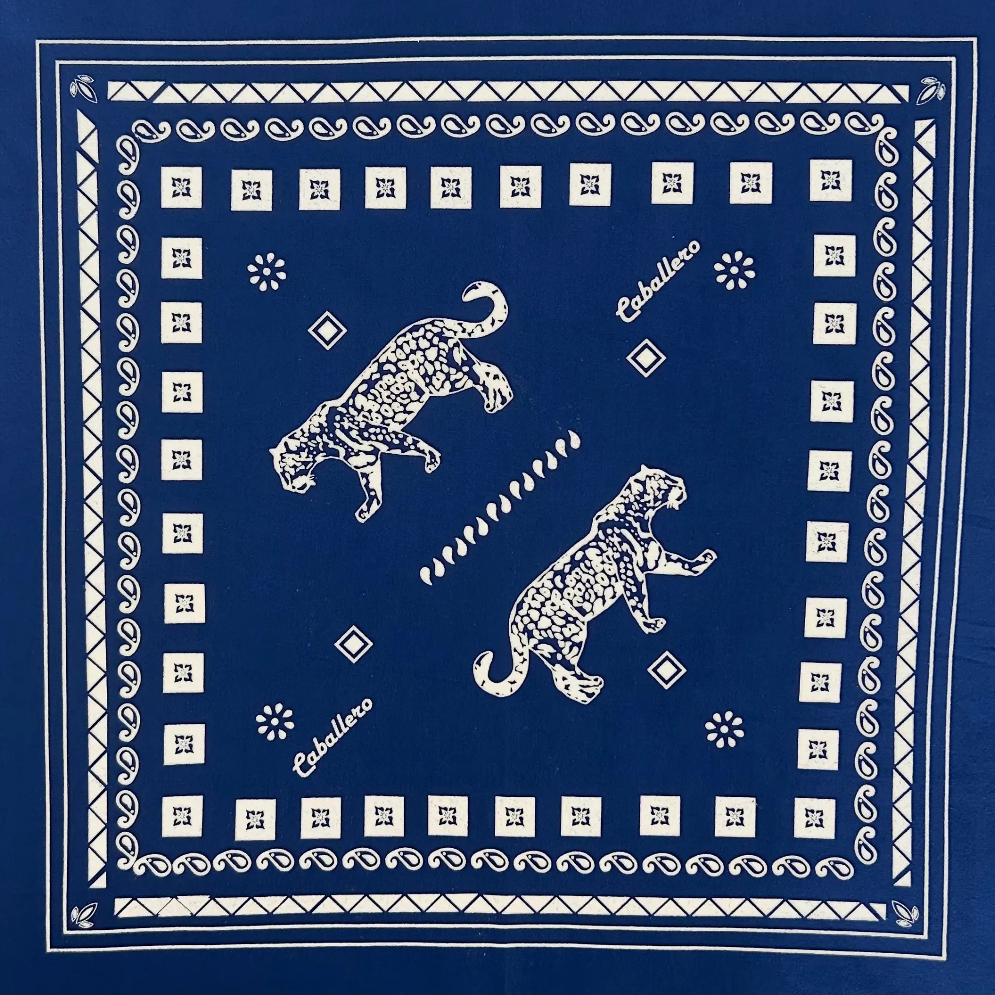 Paliacate Jaguar