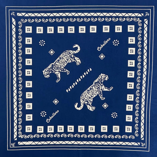 Paliacate Jaguar