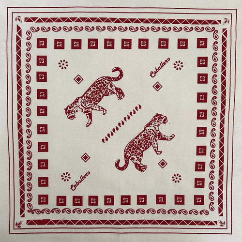 Paliacate Jaguar