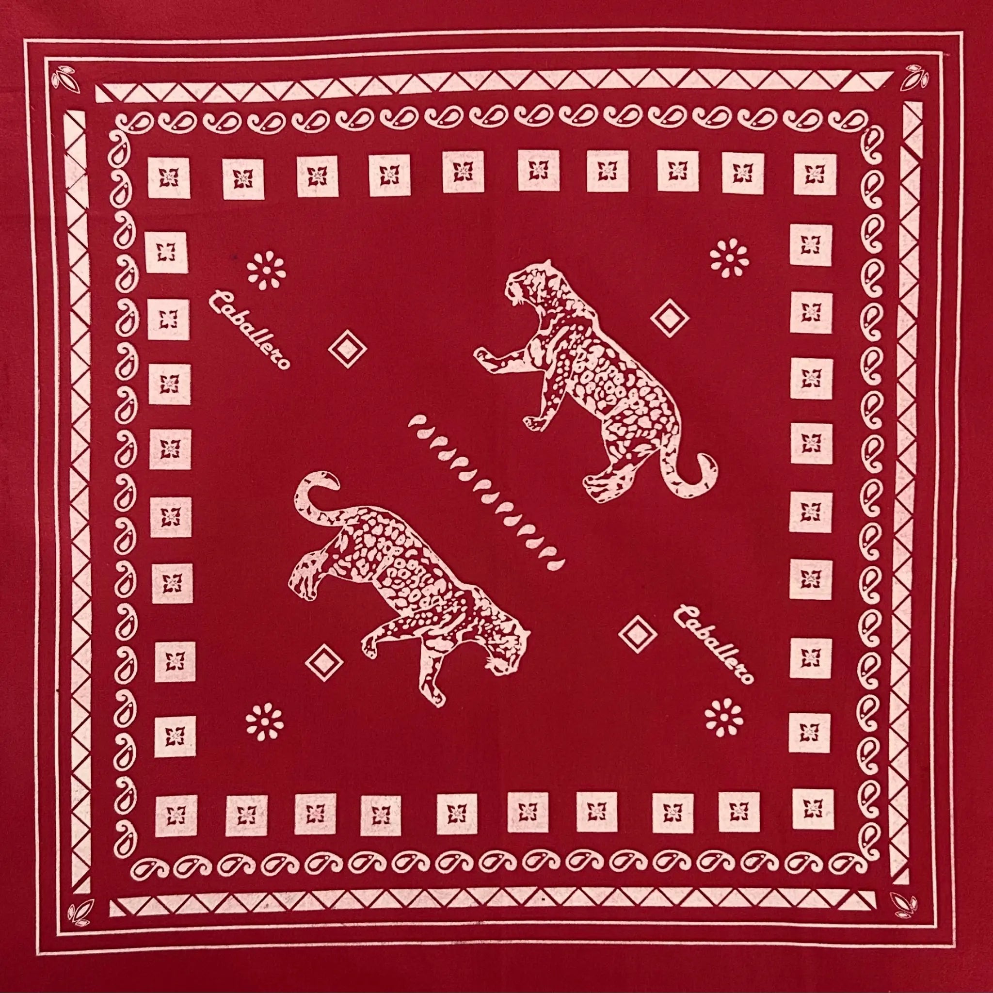 Paliacate Jaguar