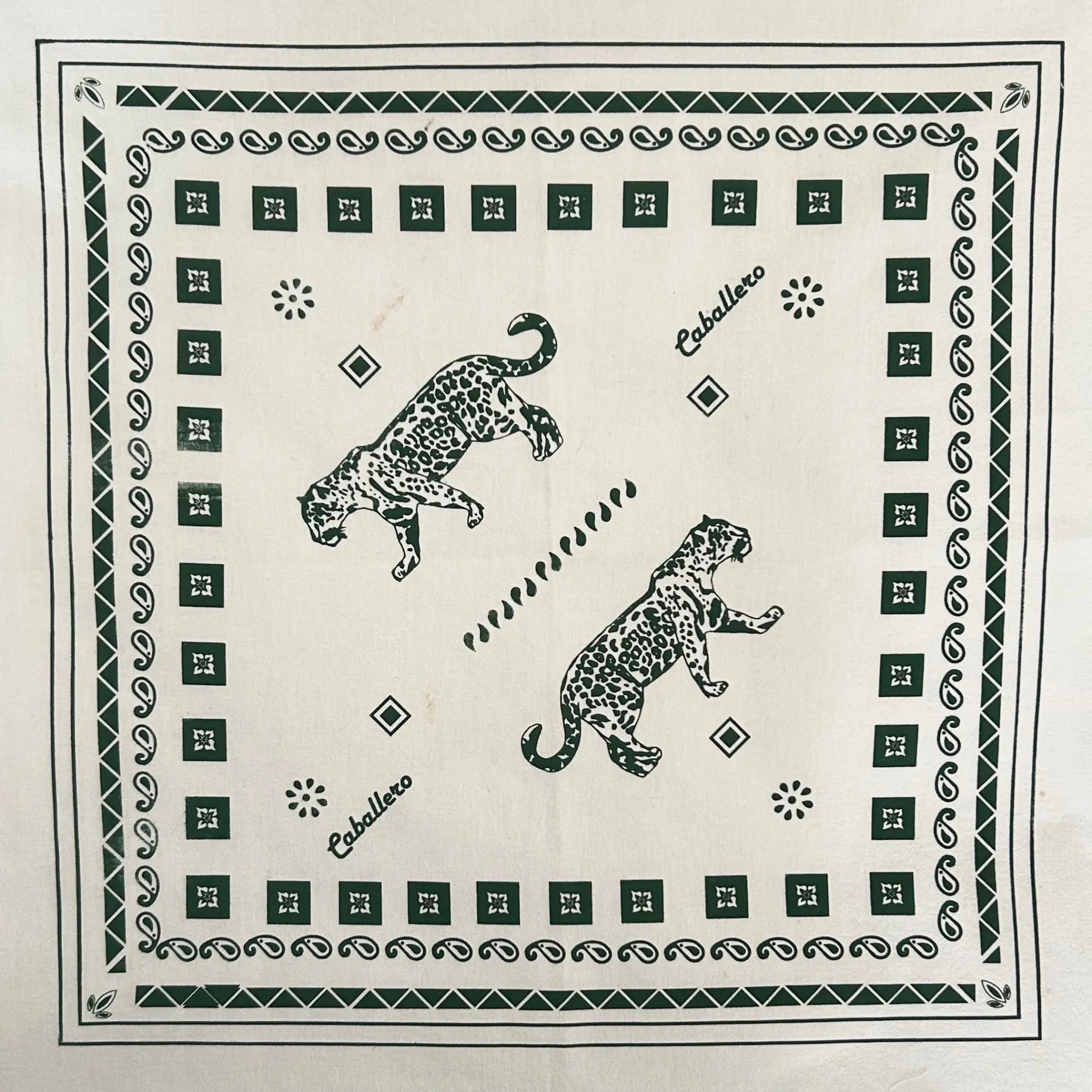 Paliacate Jaguar