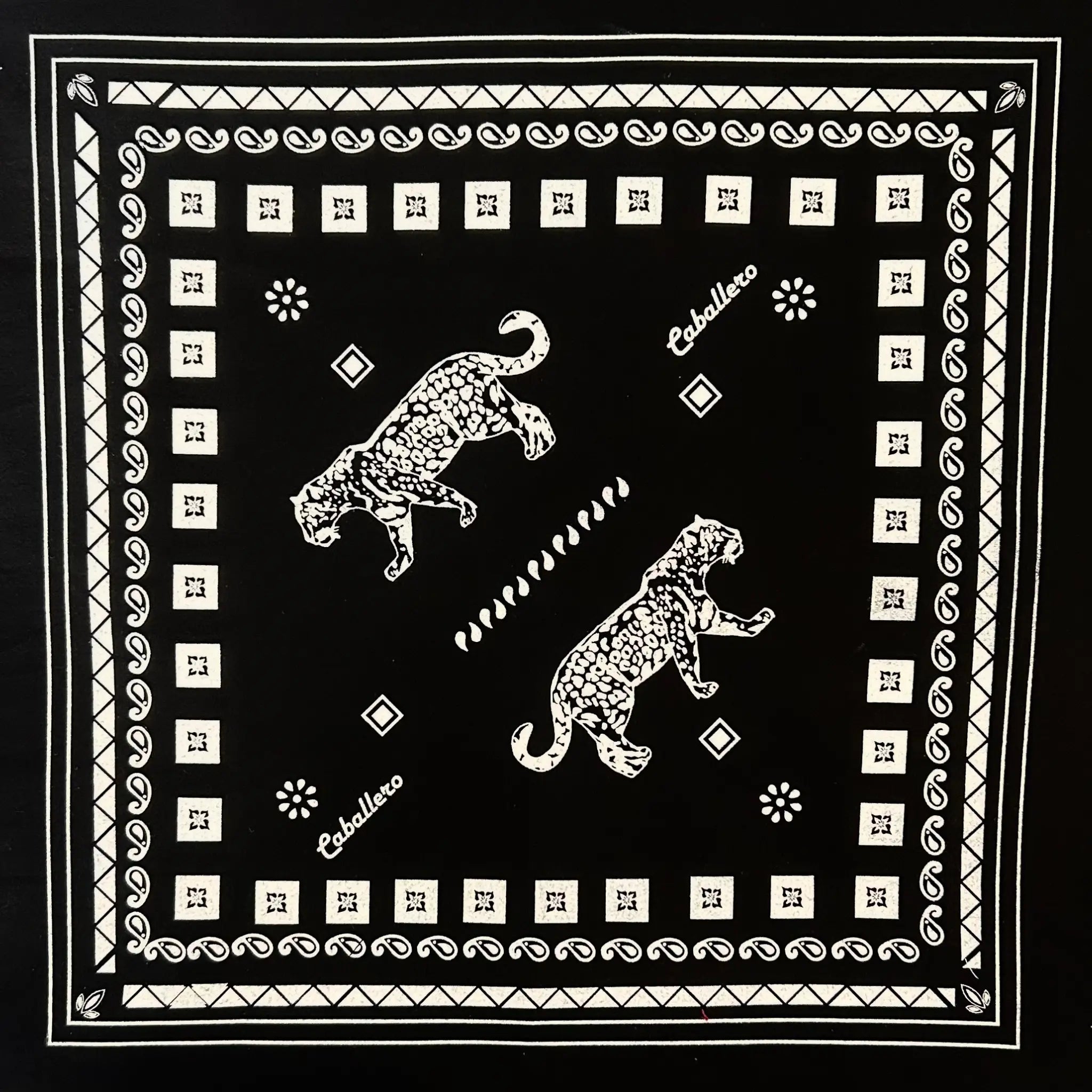 Paliacate Jaguar