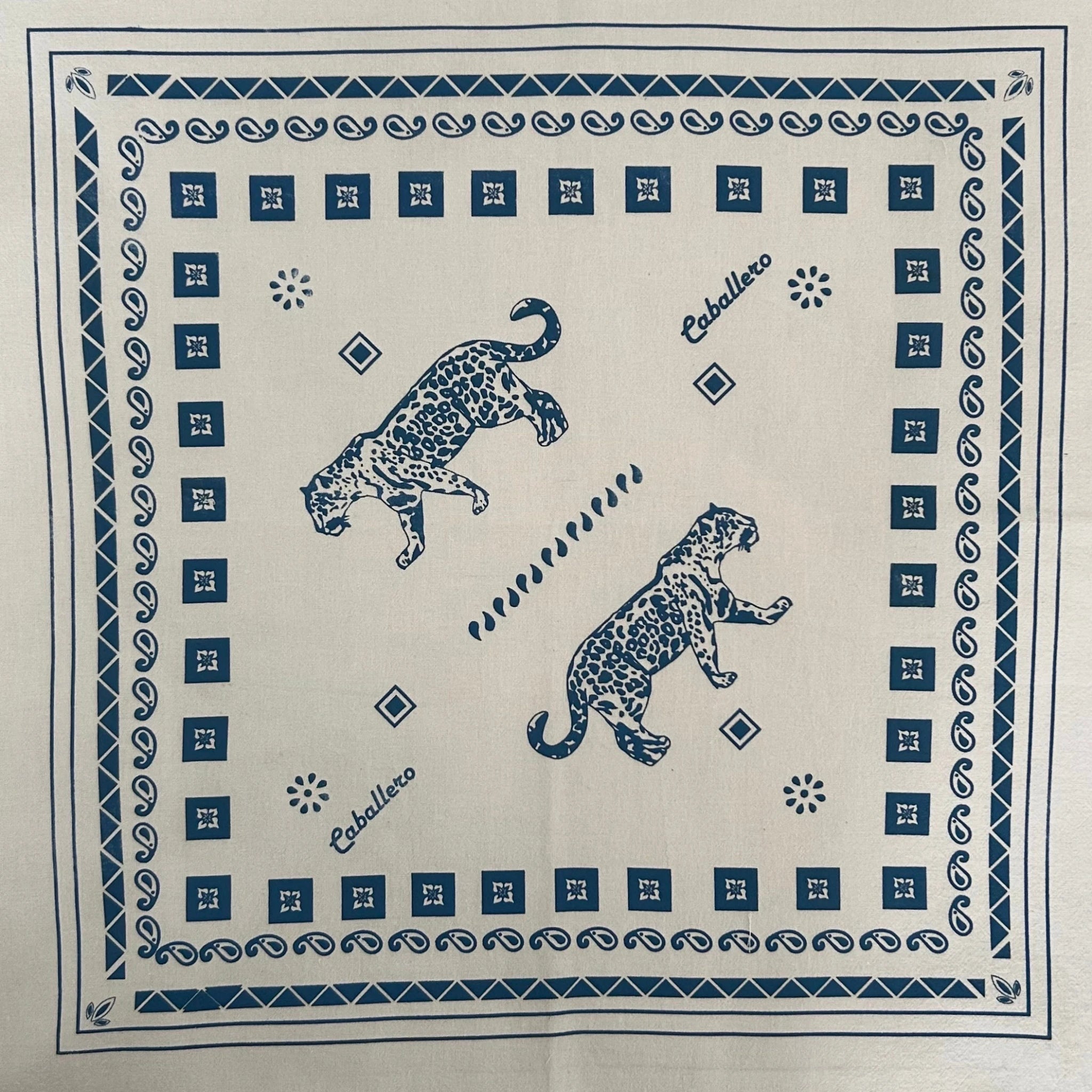 Paliacate Jaguar