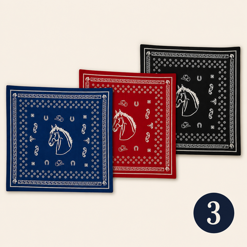 Paquete 3 Caballos