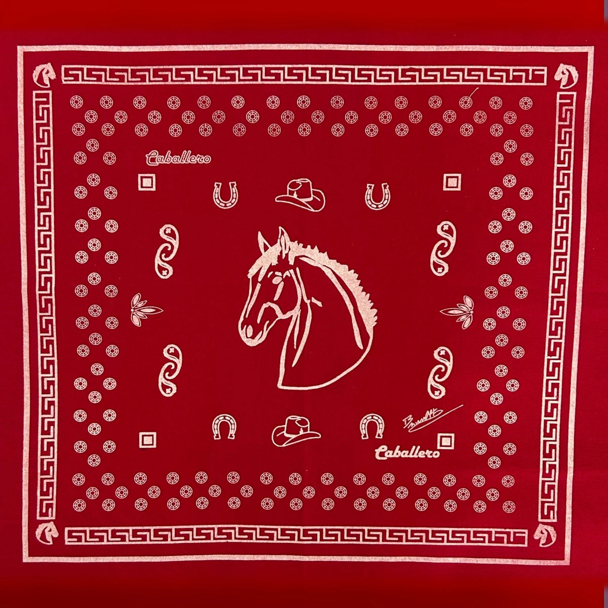 Paliacate Caballo