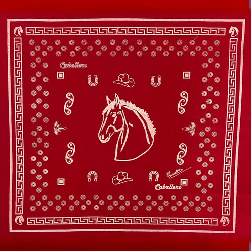 Paliacate Caballo